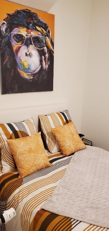 Triangle D'Or - Calme Et Cosy, Appartement 1 Chambre Saint-Quentin  Kültér fotó